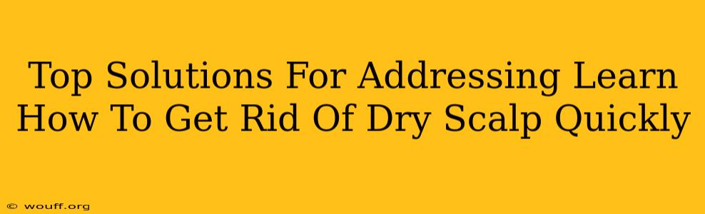 Top Solutions For Addressing Learn How To Get Rid Of Dry Scalp Quickly