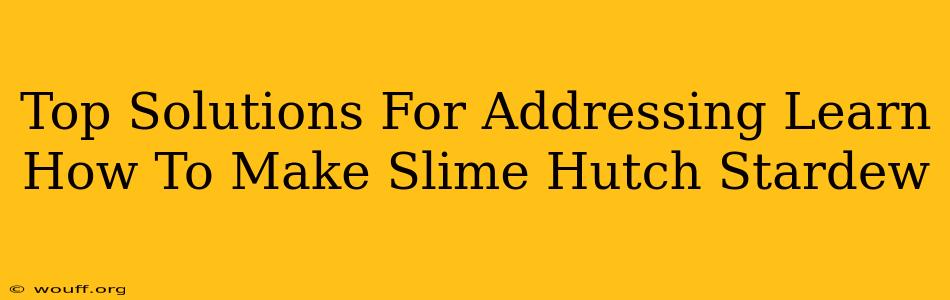 Top Solutions For Addressing Learn How To Make Slime Hutch Stardew