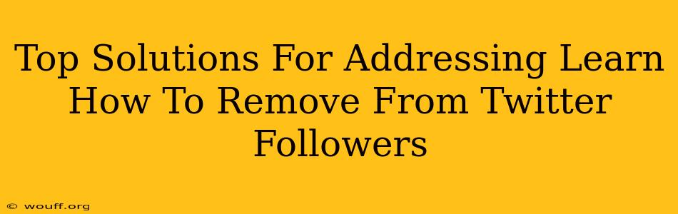 Top Solutions For Addressing Learn How To Remove From Twitter Followers