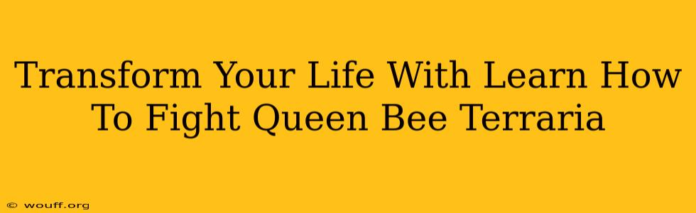 Transform Your Life With Learn How To Fight Queen Bee Terraria