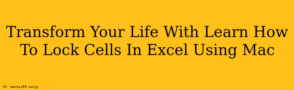 Transform Your Life With Learn How To Lock Cells In Excel Using Mac