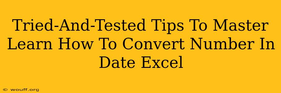 Tried-And-Tested Tips To Master Learn How To Convert Number In Date Excel