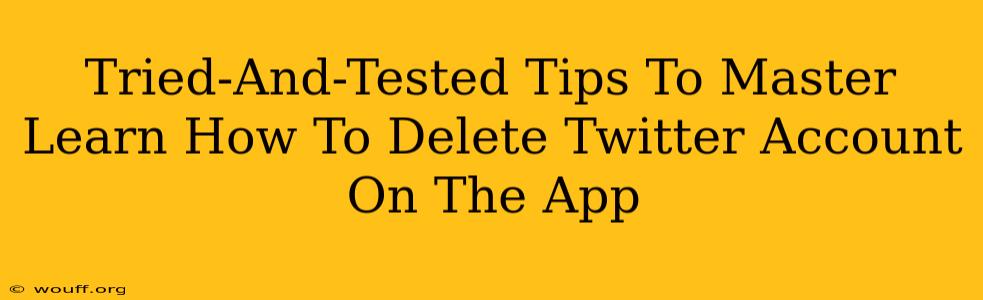 Tried-And-Tested Tips To Master Learn How To Delete Twitter Account On The App