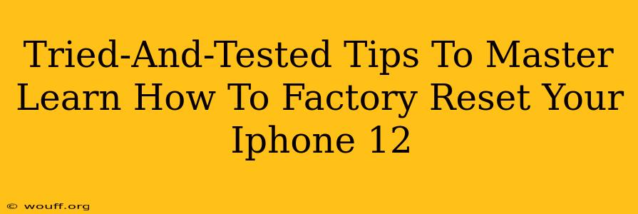 Tried-And-Tested Tips To Master Learn How To Factory Reset Your Iphone 12