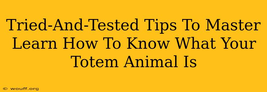 Tried-And-Tested Tips To Master Learn How To Know What Your Totem Animal Is