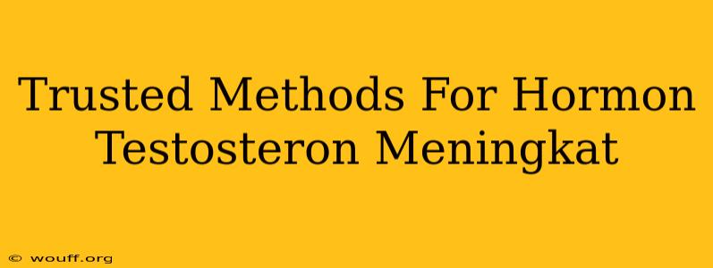 Trusted Methods For Hormon Testosteron Meningkat