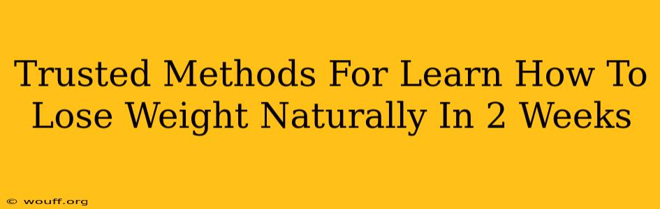 Trusted Methods For Learn How To Lose Weight Naturally In 2 Weeks