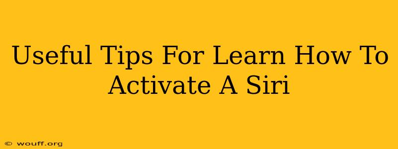 Useful Tips For Learn How To Activate A Siri