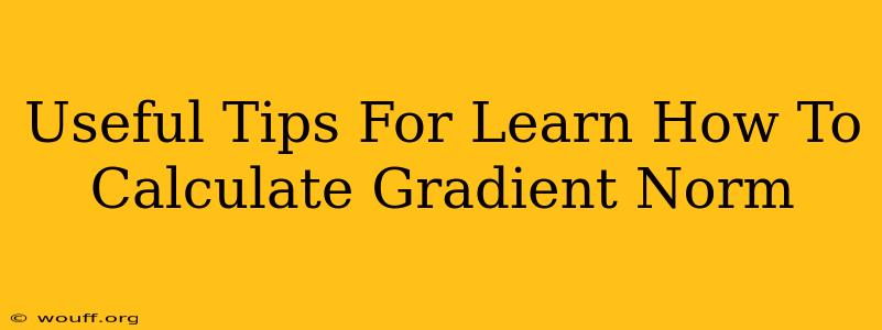 Useful Tips For Learn How To Calculate Gradient Norm