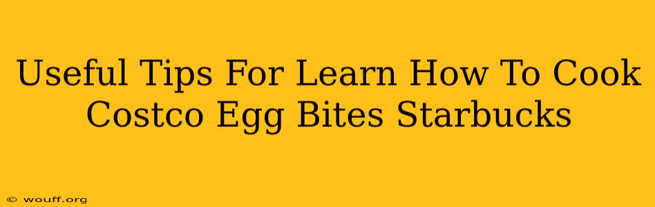 Useful Tips For Learn How To Cook Costco Egg Bites Starbucks