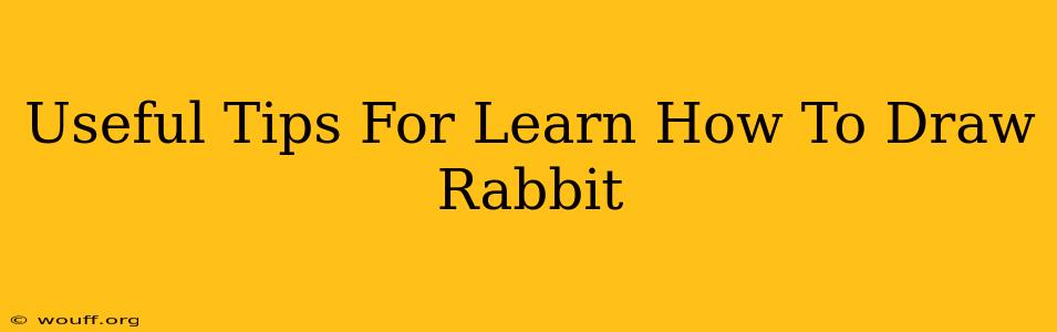 Useful Tips For Learn How To Draw Rabbit