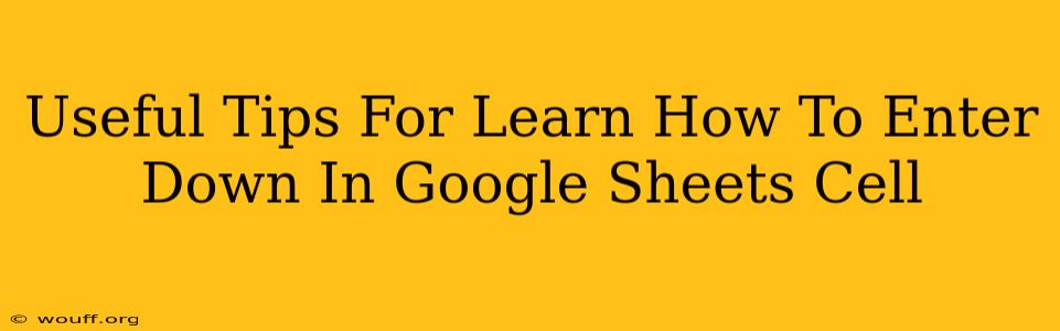 Useful Tips For Learn How To Enter Down In Google Sheets Cell