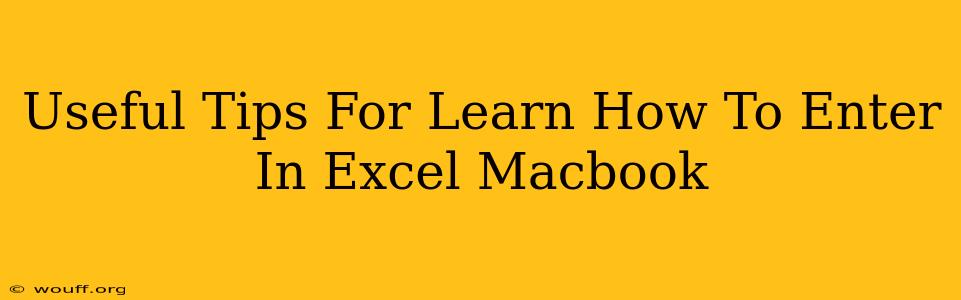 Useful Tips For Learn How To Enter In Excel Macbook