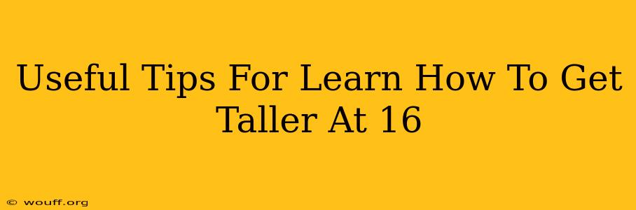 Useful Tips For Learn How To Get Taller At 16