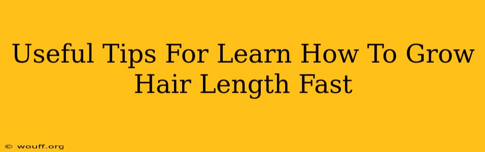 Useful Tips For Learn How To Grow Hair Length Fast