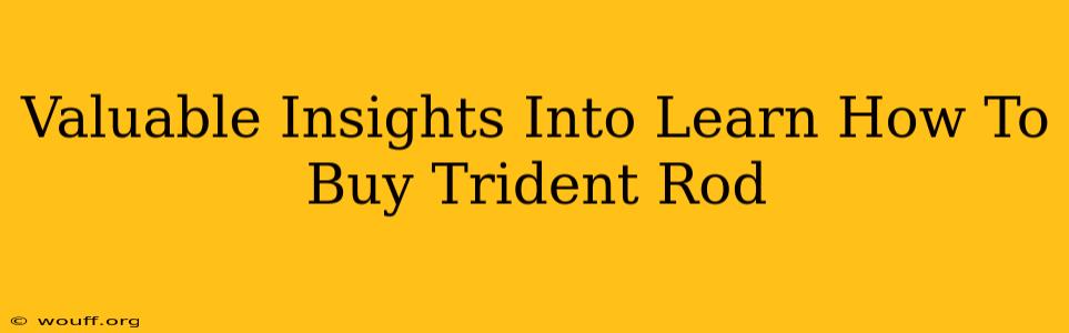 Valuable Insights Into Learn How To Buy Trident Rod